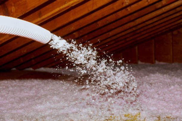 Best Cellulose Insulation  in Maytown, PA