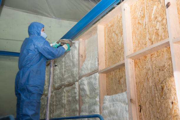 Best Professional Insulation Contractor  in Maytown, PA